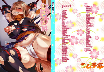 Kemo Nee-san 14 cover