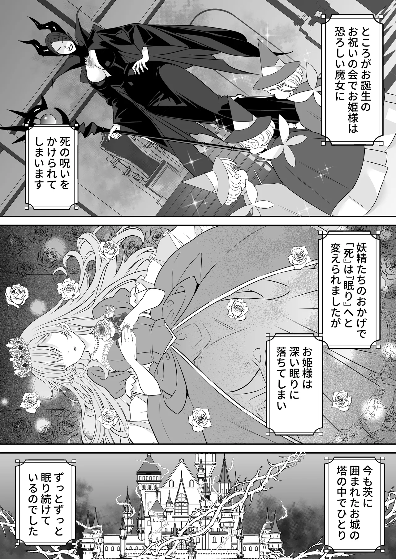 眠り姫を助けに行ったら、眠っていたのはイケメンヤンデレ王子でした page 5 full