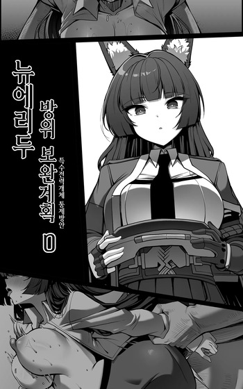 新エリー都防衛補完計画 ~ 特殊戦力個体統制方案 0 cover