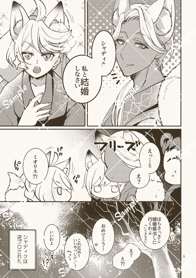 shadimio page 2 full