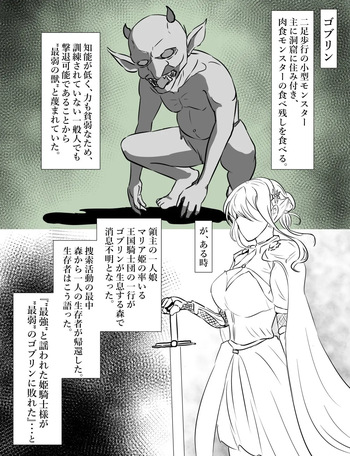 姫騎士vsゴブリン cover