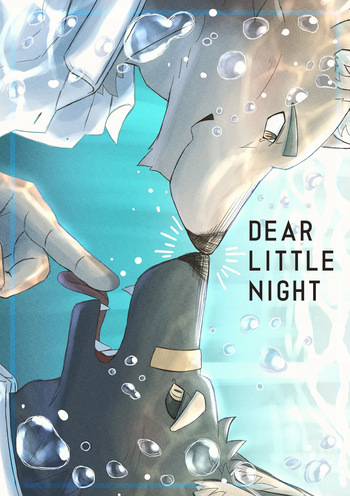 DEAR LITTLE NIGHT cover