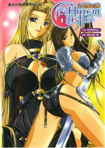 Harem Castle cover