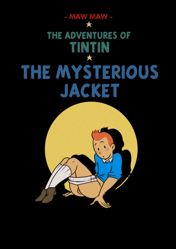 The Adventures of Tintin: The Mysterious Jacket cover