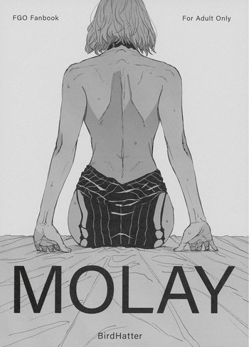 MOLAY cover