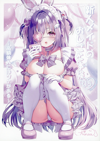 Shinjin Maid no Oshigoto Taiken ~Kougaku Tainyuu ni wa Wake ga Aru~ cover