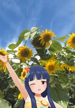 アイル