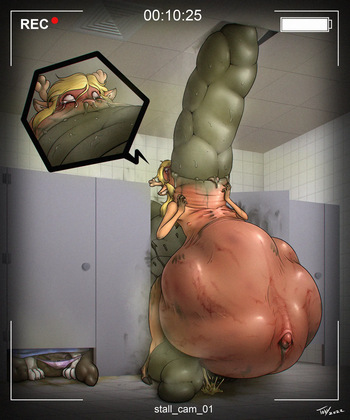 The Stall cover