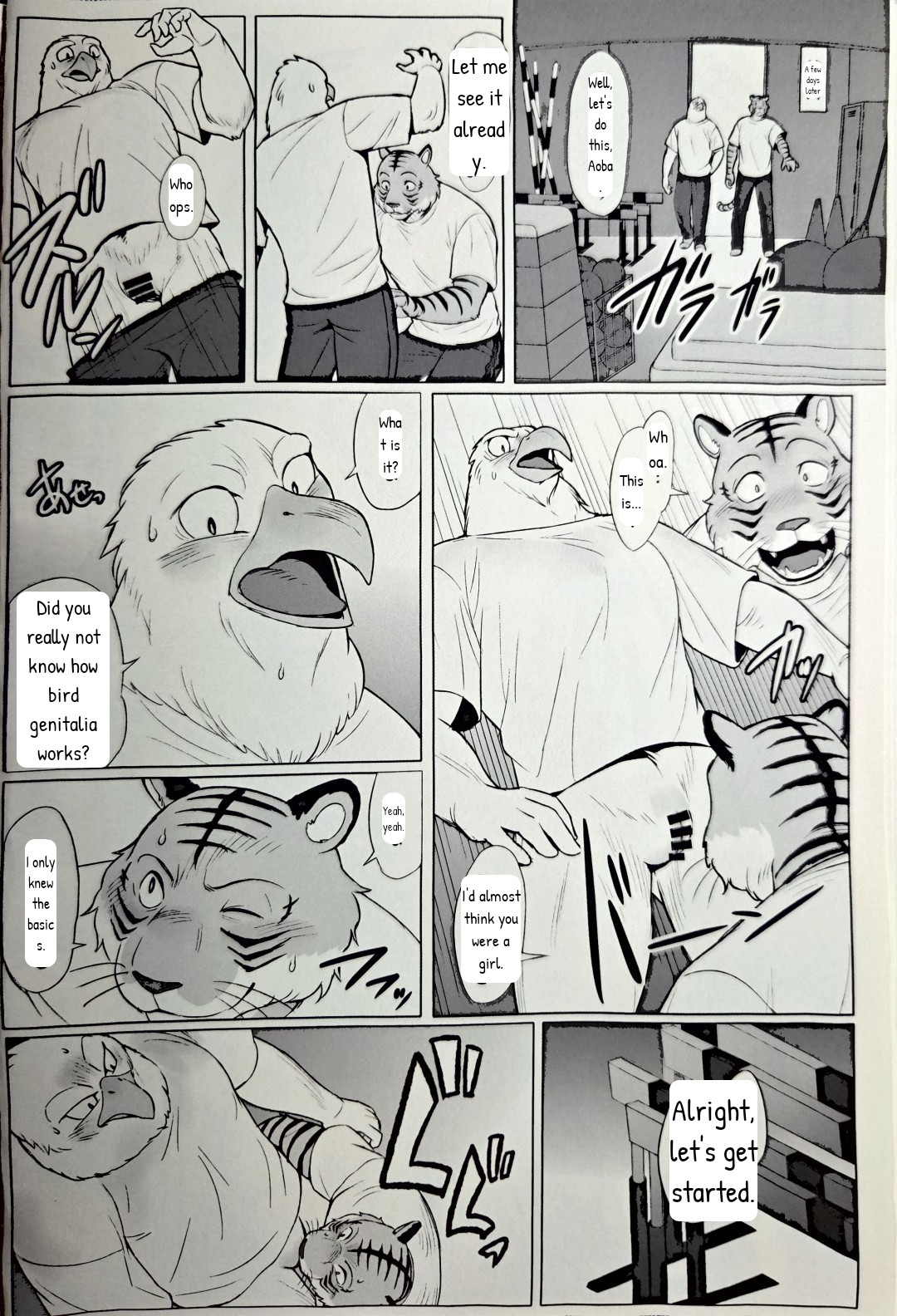 Fried shrimp set page 4 full