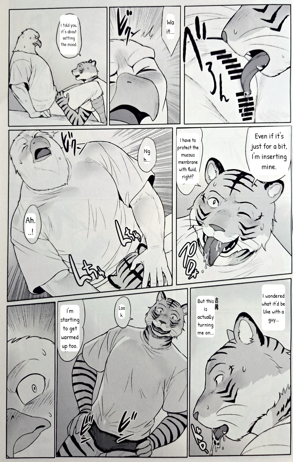Fried shrimp set page 5 full