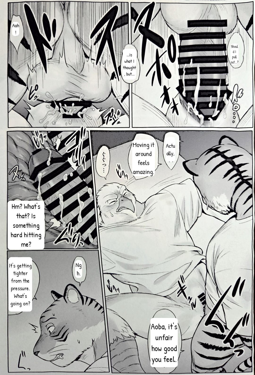 Fried shrimp set page 9 full