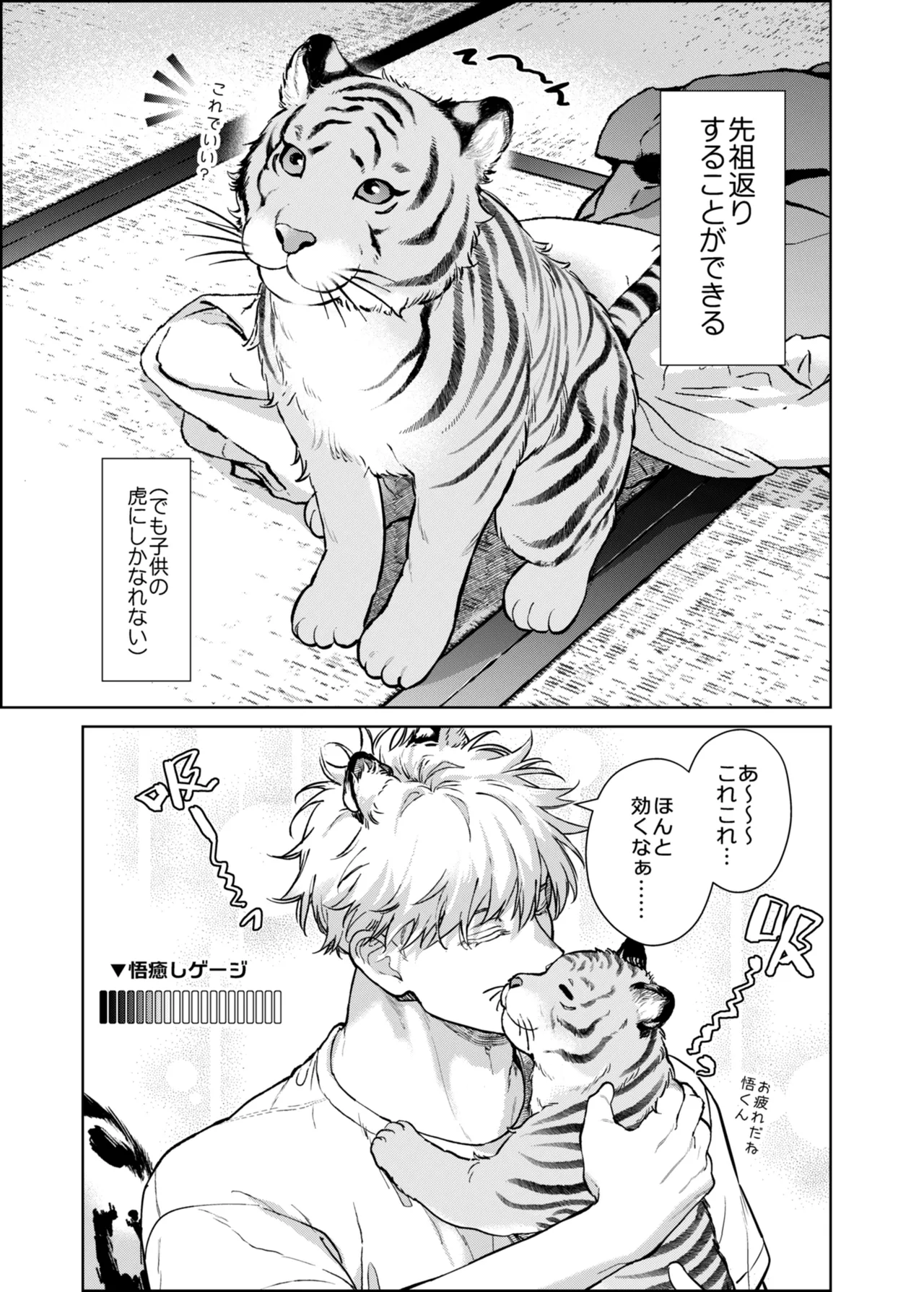 都会には獣人がいない 癒しの虎編 page 5 full