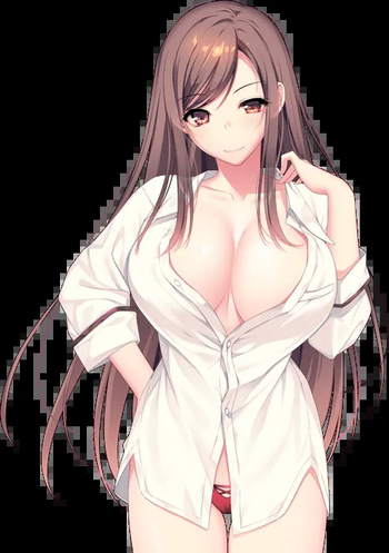 Icha Ane! （Character CG files） cover