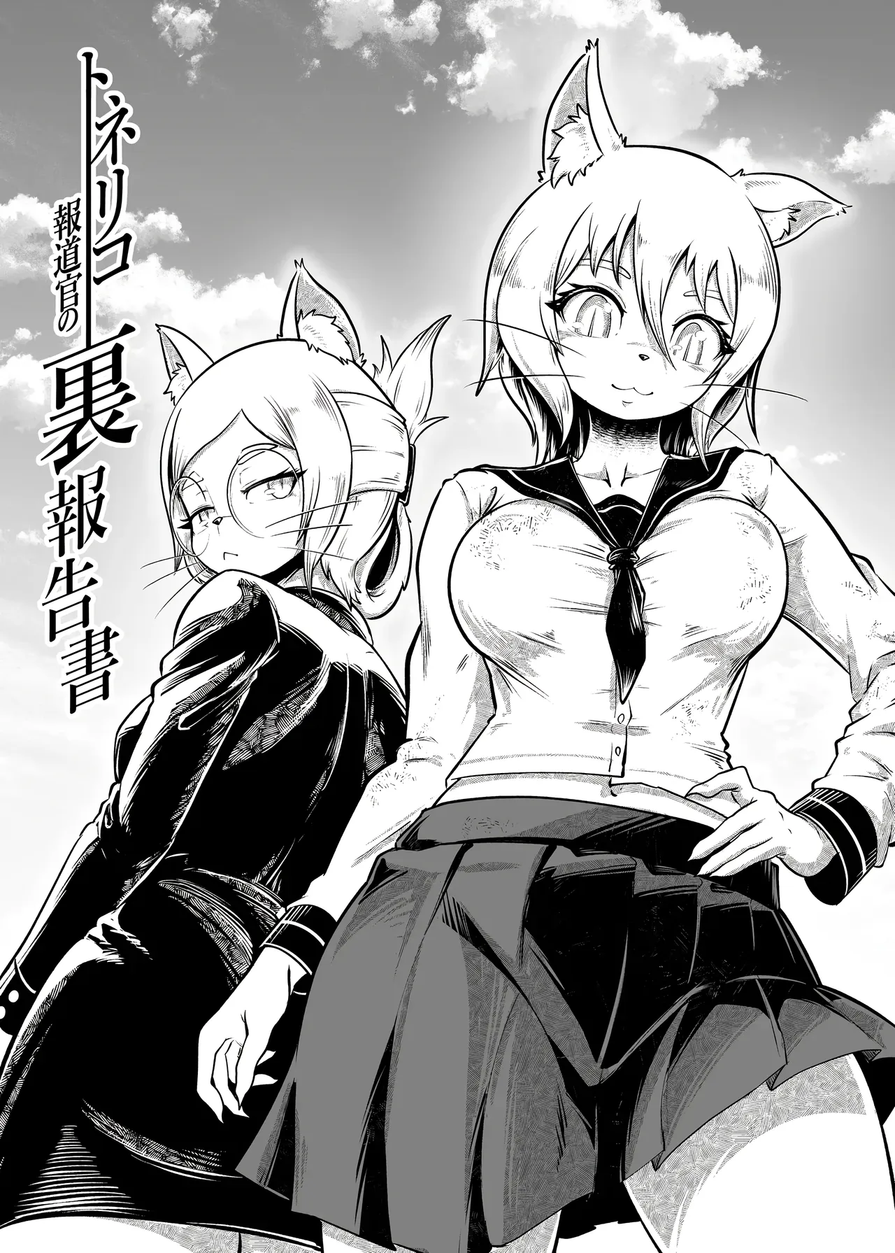 Tonelico Houdoukan no Ura Houkokusho 2｜Informe Confidencial de la Portavoz Toneriko 2 page 5 full