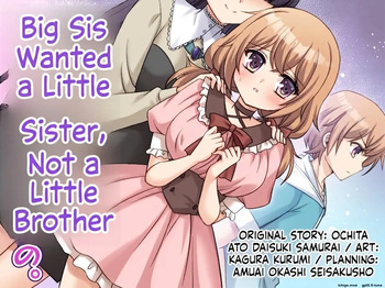 Big Sis Wanted a Little Sister, Not a Little Brother cover