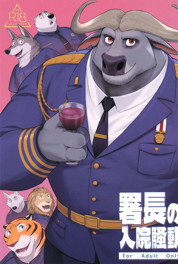 Shochou no Nyuuin Soudou cover