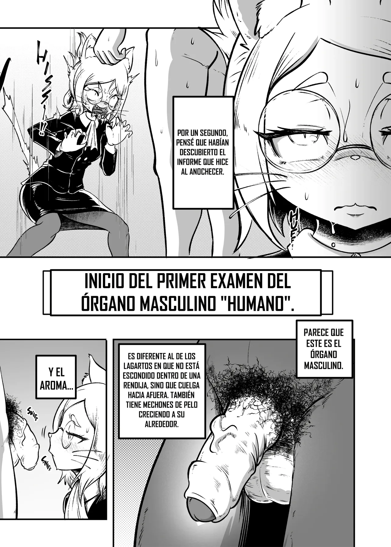 Tonelico Houdoukan no Ura Houkokusho｜Informe Confidencial de la Portavoz Toneriko page 8 full