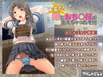 大変だ!妹におちんぽが生えちゃったぞ!!! cover