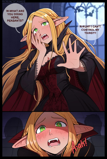 The Secret of Castle Donato cover
