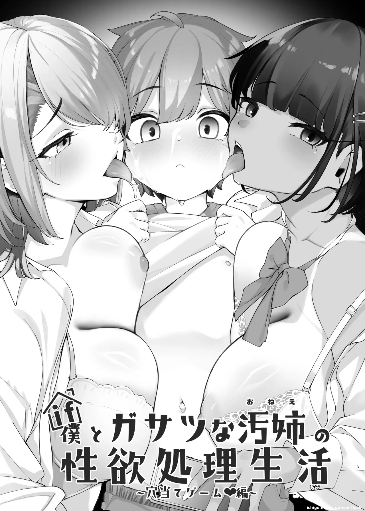 if Boku to Gasatsu na Onee no Seiyoku Shori Seikatsu ~Onee-chan wa Dare no Mono! Hen  MTL page 5 full