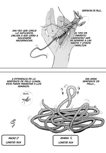 La gran serpiente de pelo cover