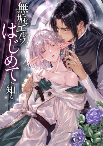 無垢なエルフ、はじめてを知る。 cover