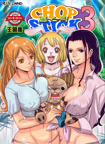 Chop stick 3 cover