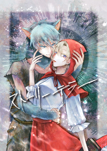 Storyteller cover