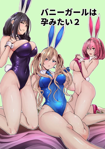 Banii Gaaru wa Haramitai2 cover