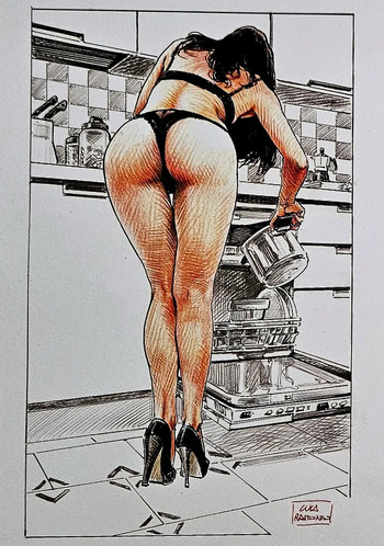 portfolio - Housewives cover