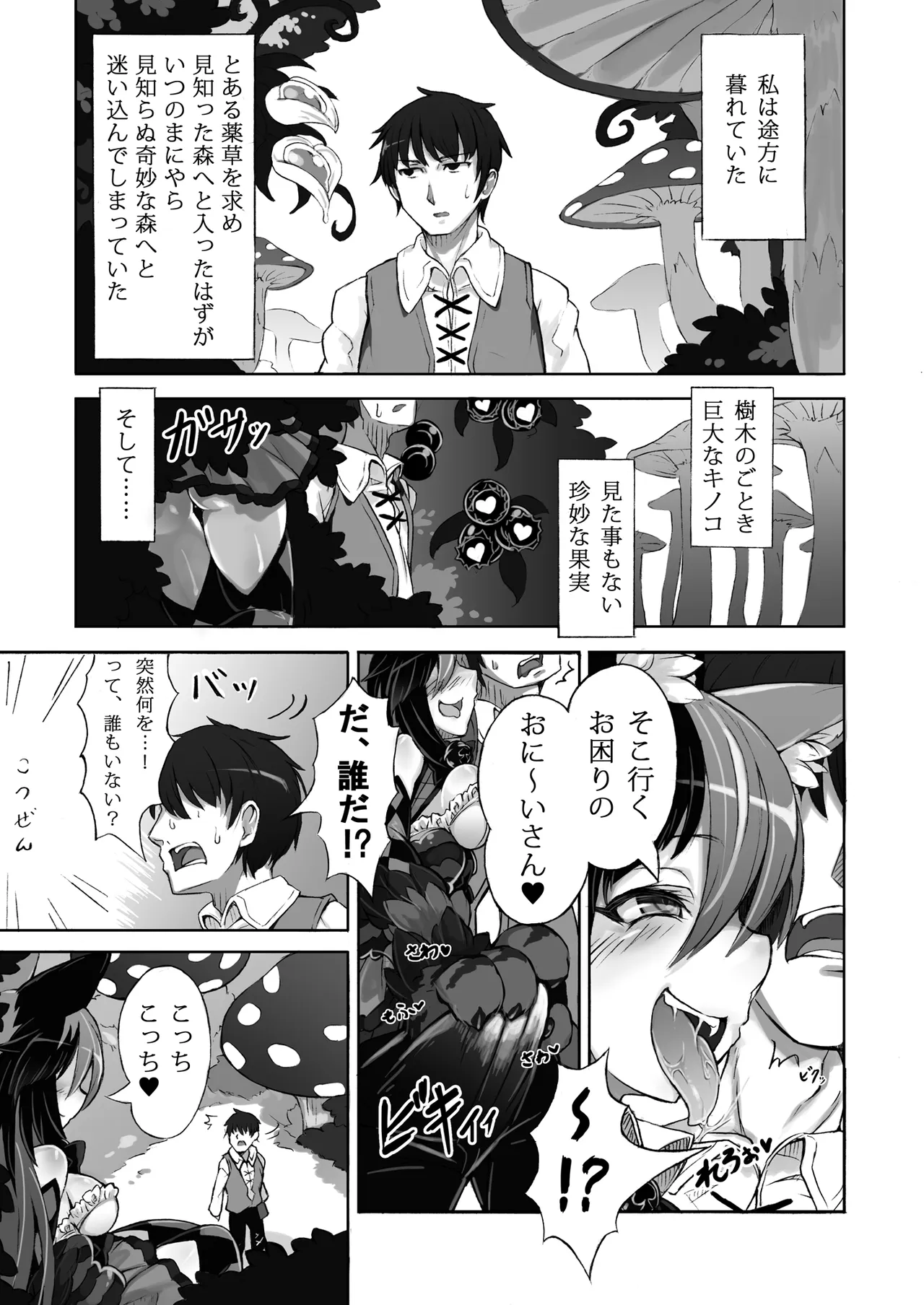 Mamono Musume Zukan Higai Houkoku ~Cheshire Neko no Oidemase Fushigi no Kuni~ page 3 full