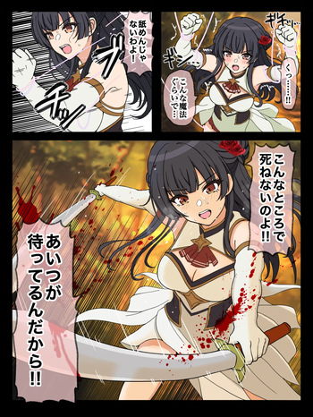 姫騎士冬優子の敗北 cover