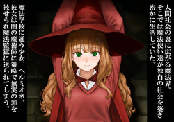 魔法少女が無実の罪で冥界監獄に収容され数万年の無限快楽○問