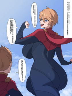 ヒーローの引退、めすぶたのデビュー
