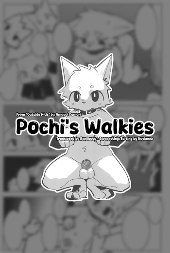 Pochi's Walkies cover