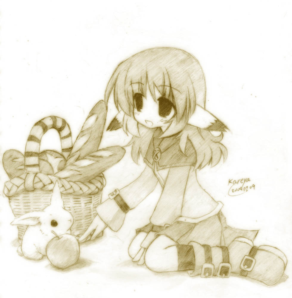 kareya カレー屋 page 7 full