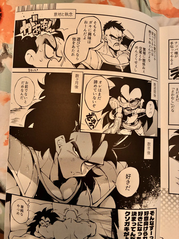 Raditz cover