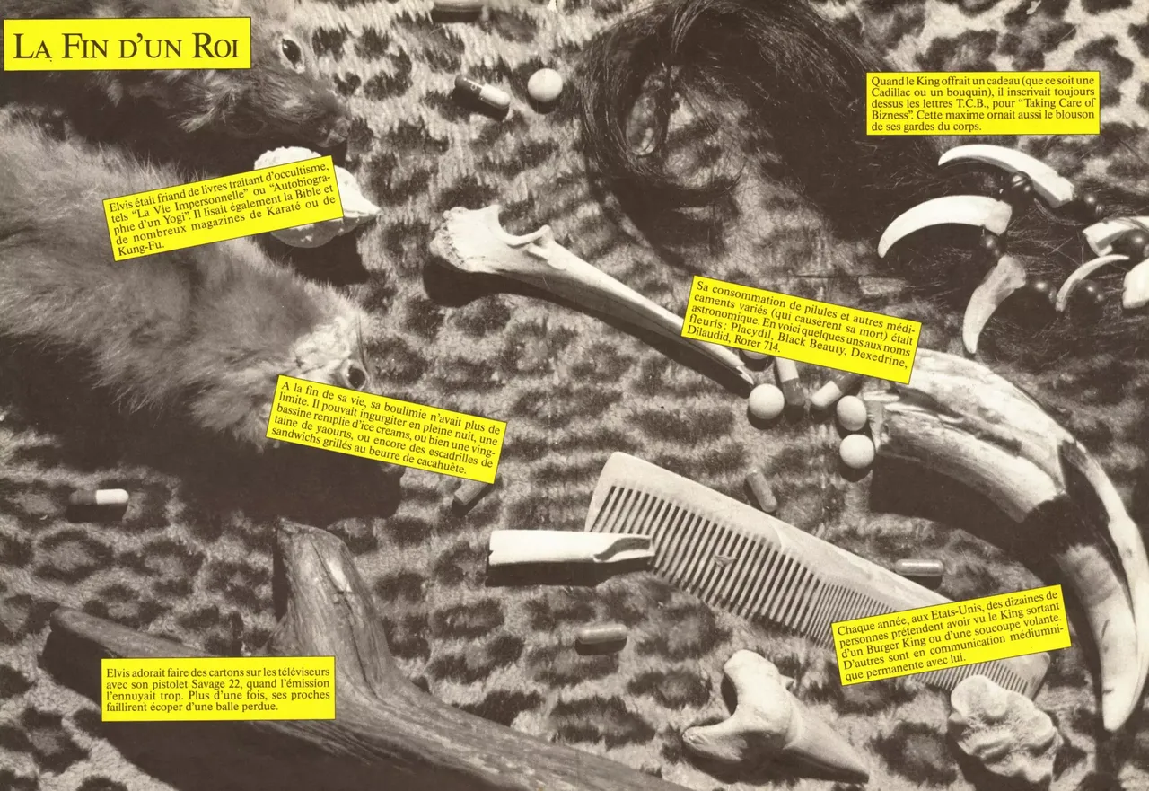 Dinosaur Bop #2 : La caverne des cœurs brisés page 2 full