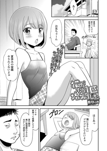 猫がもう1匹増えました cover