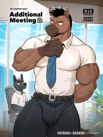 Additional Meeting cover