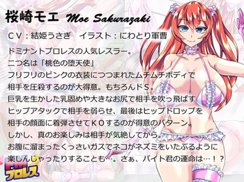 Masochistic Wrestling 3 cover