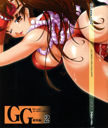GG Soushuuhen 2 cover