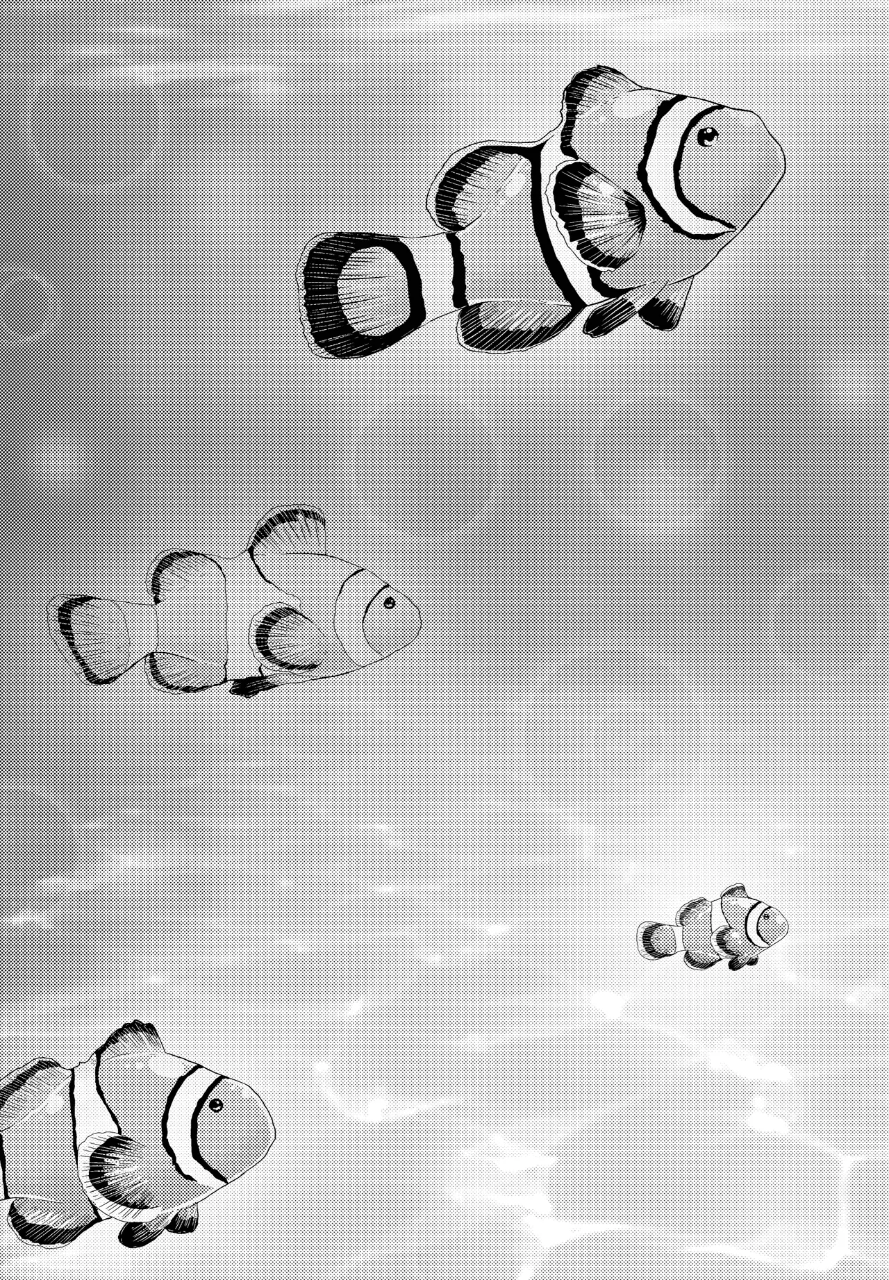 Clownfish Twister: Volume 4 page 4 full