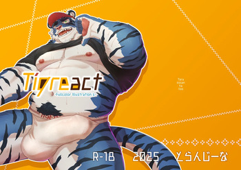 Tigreact cover