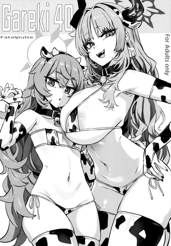Gareki 40 cover