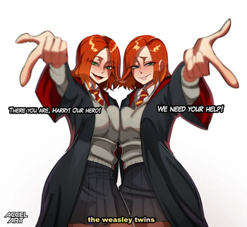 the Weasley Twins!! cover