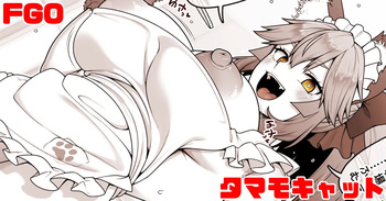 FGO タマモキャット cover