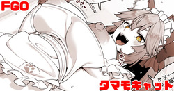FGO タマモキャット