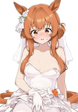 cocodayo