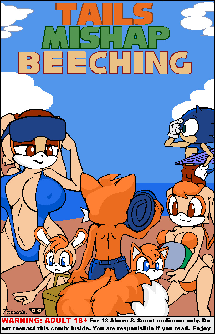 Tails Mishap Beeching by Terrenski cover